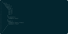 Screenshot of a typical code format in Style Dictionary